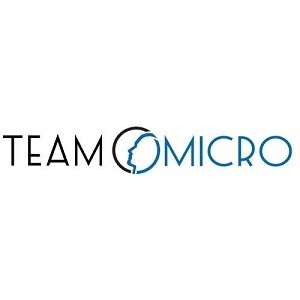 Team Micro Ltd Logo