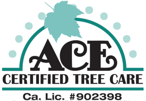 Ace Certified Tree Care Logo