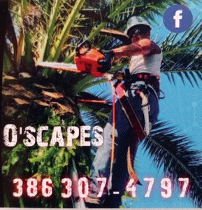 O'scapes Tree/Landscaping Service Logo