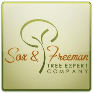 Sox & Freeman Logo
