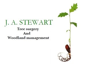 J A Stewart Tree Surgery Logo