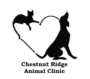 Chestnut Ridge Animal Clinic Logo