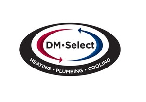 DM Select Services Logo