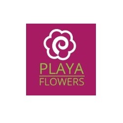 Playa Del Rey Florist Logo