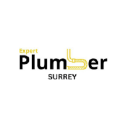 Expert Plumber Surrey Logo