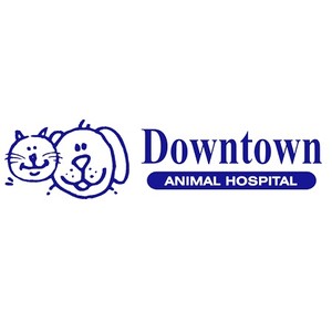 Downtown Animal Hospital Logo