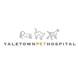 Yaletown Pet Hospital Logo
