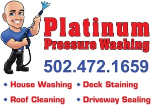 Platinum Pressure Washing Logo