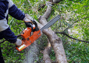Atoka Tree Service Logo