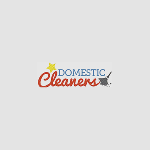 Star Domestic Cleaners London Logo
