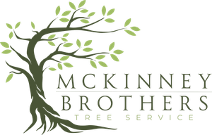 McKinney Brothers Tree Service Logo