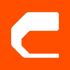 Clue Insights Logo