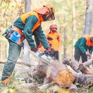 Rotherham Tree Services Logo