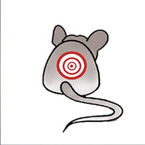 Perfection Pest Control Logo