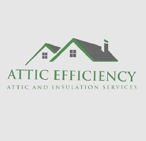 Attic Efficiency Logo