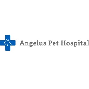 Angelus Pet Hospital Logo