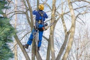 Bartlett Tree Service Logo