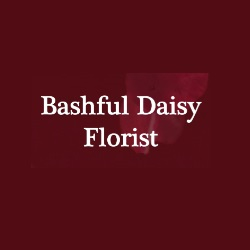 Bashful Daisy Florist Logo