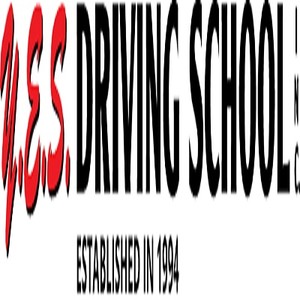 Y.E.S. Driving School,Inc. Logo