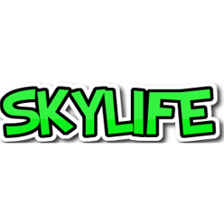 Skylife Home repairs & renovations Logo