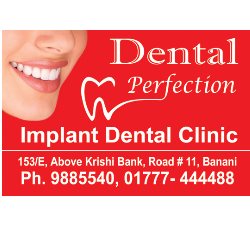Dental Perfection Logo