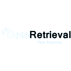 Data Retrieval Logo