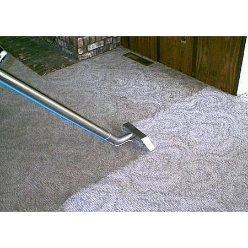 Brentwood Carpet Cleaning Company Logo