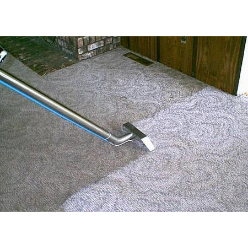 Ronkonkoma Carpet Cleaning Experts Logo