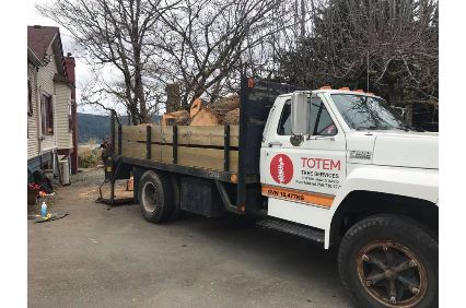 Picture uploaded by Totem Tree Service