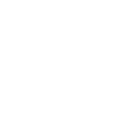 High River Toyota Logo