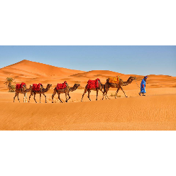 Morocco Sahara Holiday & Tours Logo
