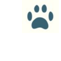 Small Creatures Pet Clinic logo