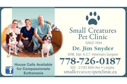 Picture uploaded by Small Creatures Pet Clinic