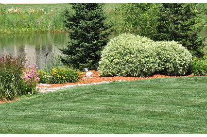 Picture uploaded by JW's Landscape & Gardening Services