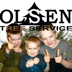 Olsen Tree Service logo