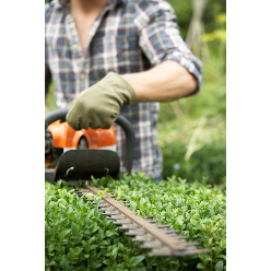 Agnew Tree Service Logo