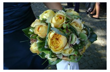 Picture uploaded by Santa Ynez Valley Florist