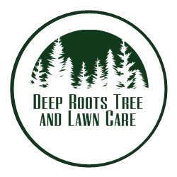 Deep Roots Tree and Lawn Care Logo