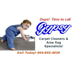 Gypsy Rug Cleaners logo