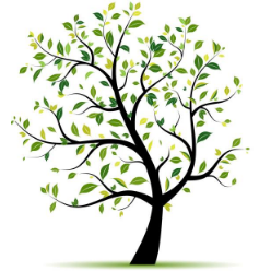 Pete Stock D & S Tree Service Logo