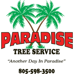 Paradise Tree Service Logo