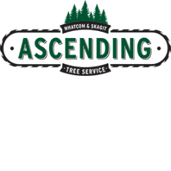 Ascending Tree Service LLC logo