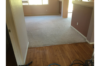 Picture uploaded by Simply Clean Carpet Care