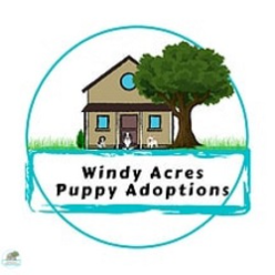 Windy Acres Puppy Adoptions Logo