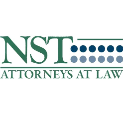 Nahon, Saharovich & Trotz Personal Injury Attorneys Logo