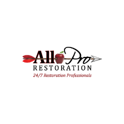 All Pro Restoration Logo