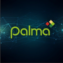 Palma Financial Services, Inc. Logo