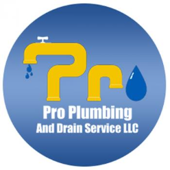 Pro Plumbing and Drain Service LLC Logo