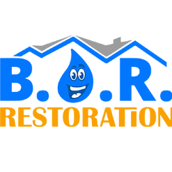 Best Option Restoration (B.O.R.) of Denver Tech Center Logo