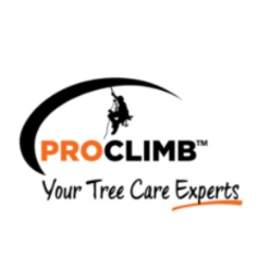 Pro Climb Tree Care Logo
